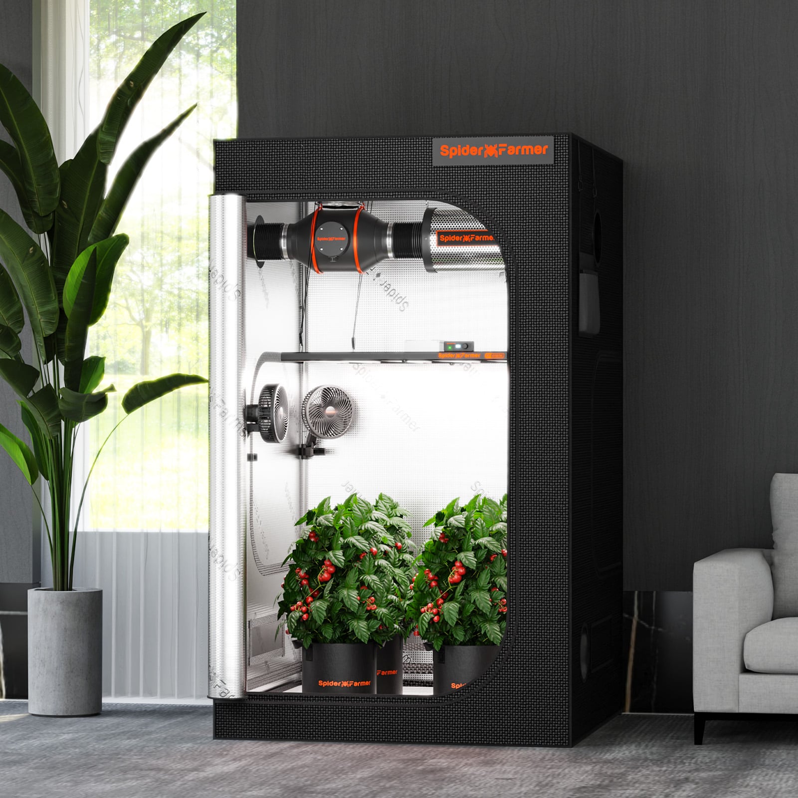 hydroponic grow tent