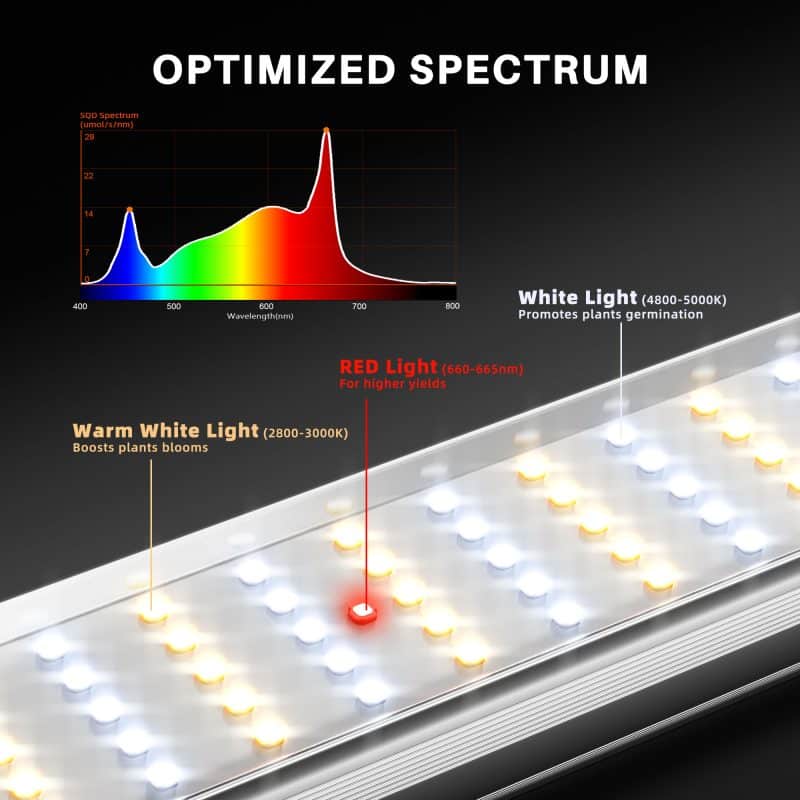 SE1000W EVO OPTIMIZED SPECTRUM