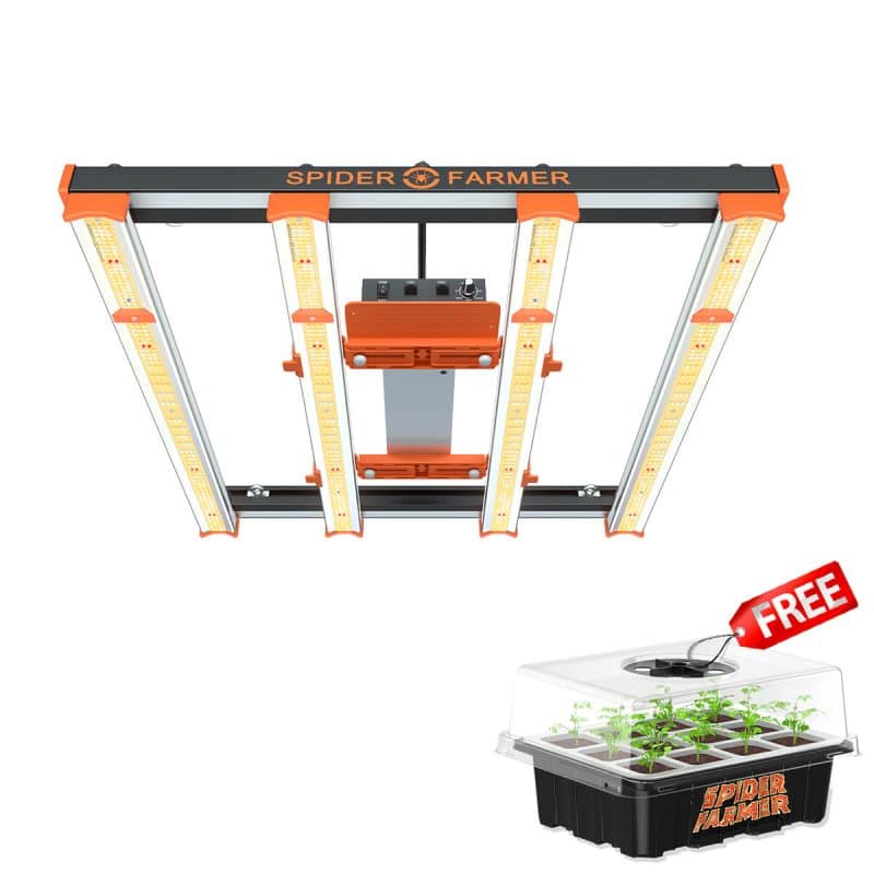 SE3000 300W LED