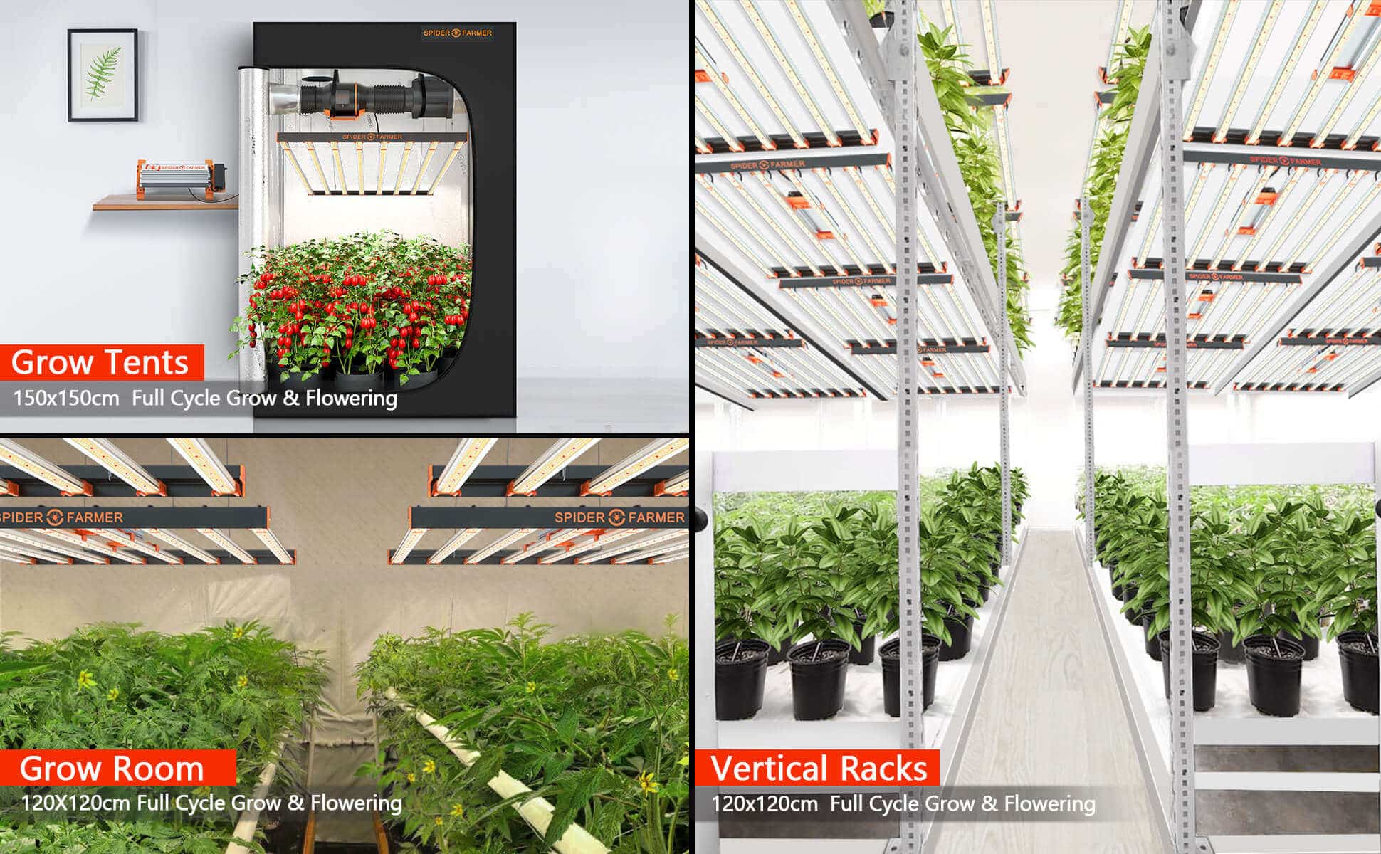 Spider Farmer CA® upgraded se series 7000 led grow light applications 
