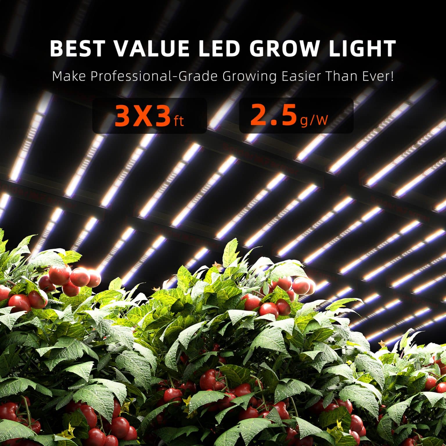 2024 Spider Farmer® G3000 300W Dimmable Costeffective Full Spectrum LED Grow Light Spider