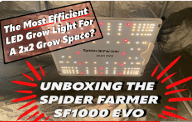 Spider Farmer SF1000 EVO LED Grow Light Unboxing!