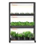 2025 Spider Farmer® SF600 growshelves Indoor led grow light and Metal Plant Stand with Plant Trays