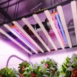 2025 Newest Spider Farmer UV60 & IR30 LED Grow Light Bars Set (35.4'')– Upgraded UV & Infrared Supplement for Plants