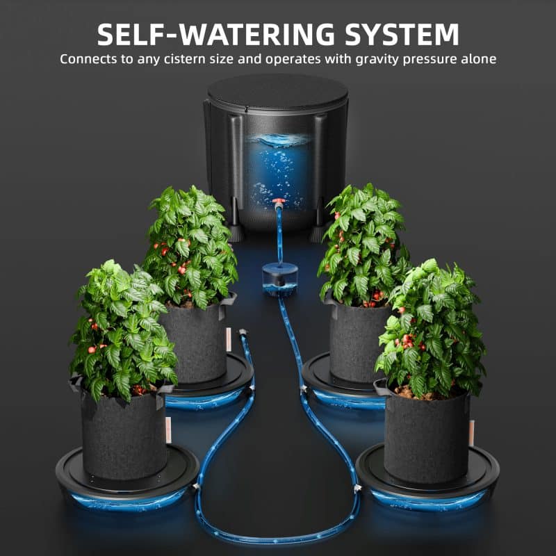 Self-watering system-2