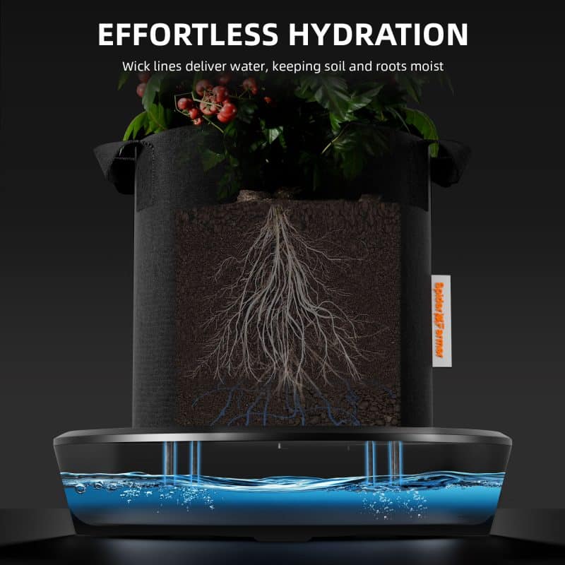 Self-watering system6