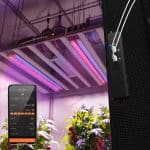 Bundle Sale丨Spider Farmer UV60 & IR30 LED Grow Light Bars Set (35.4'') With GGS AC5 Power Strip Kit for Smart Control