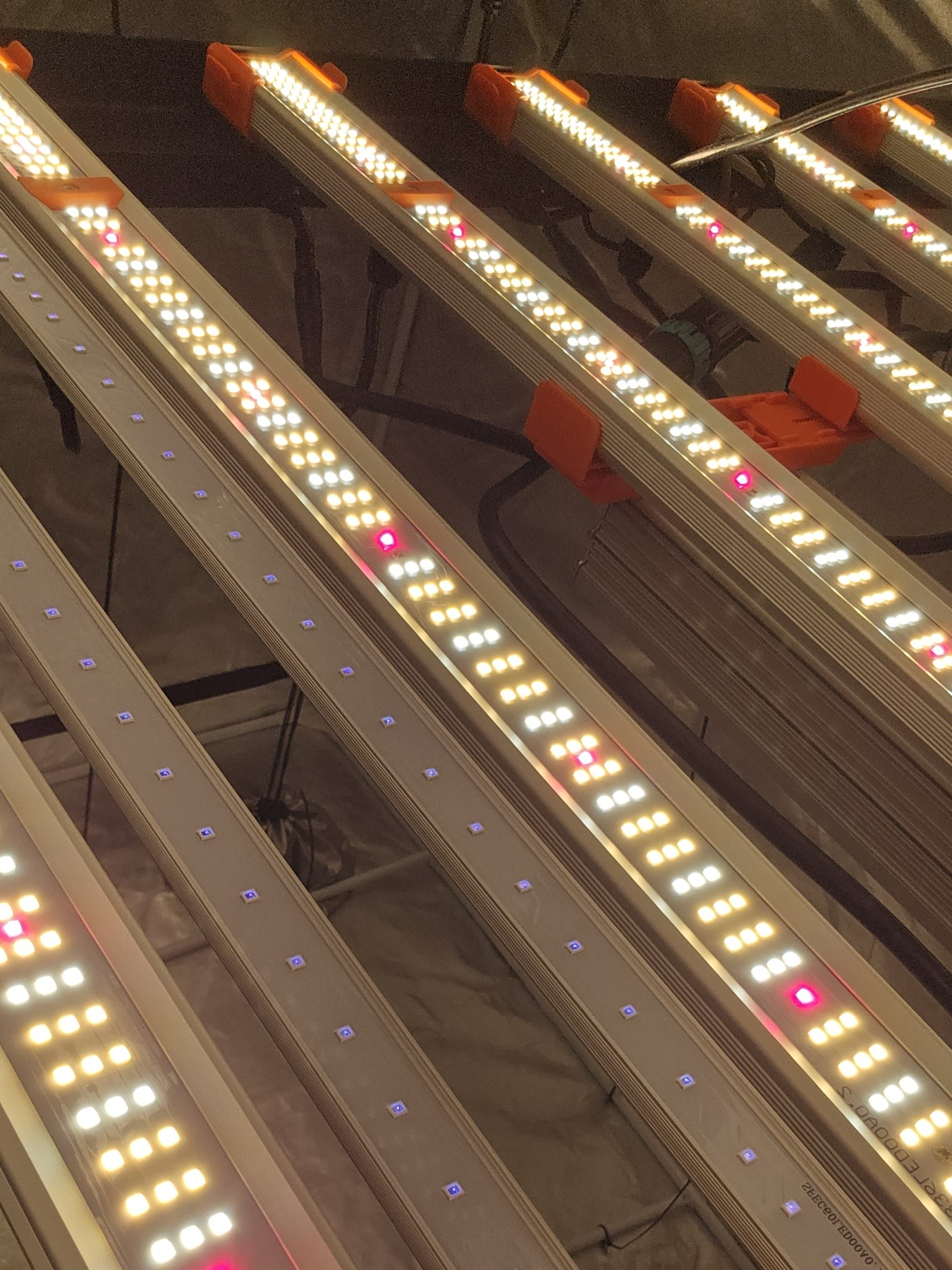 Reddit@No_Interview5607_finally-made-the-purchase-spider-farmer-se7000