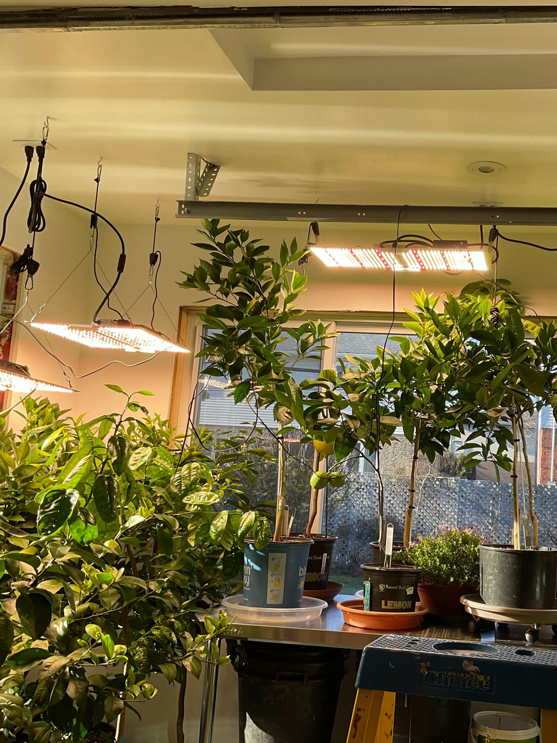 johannem3004@gmail.com (1)