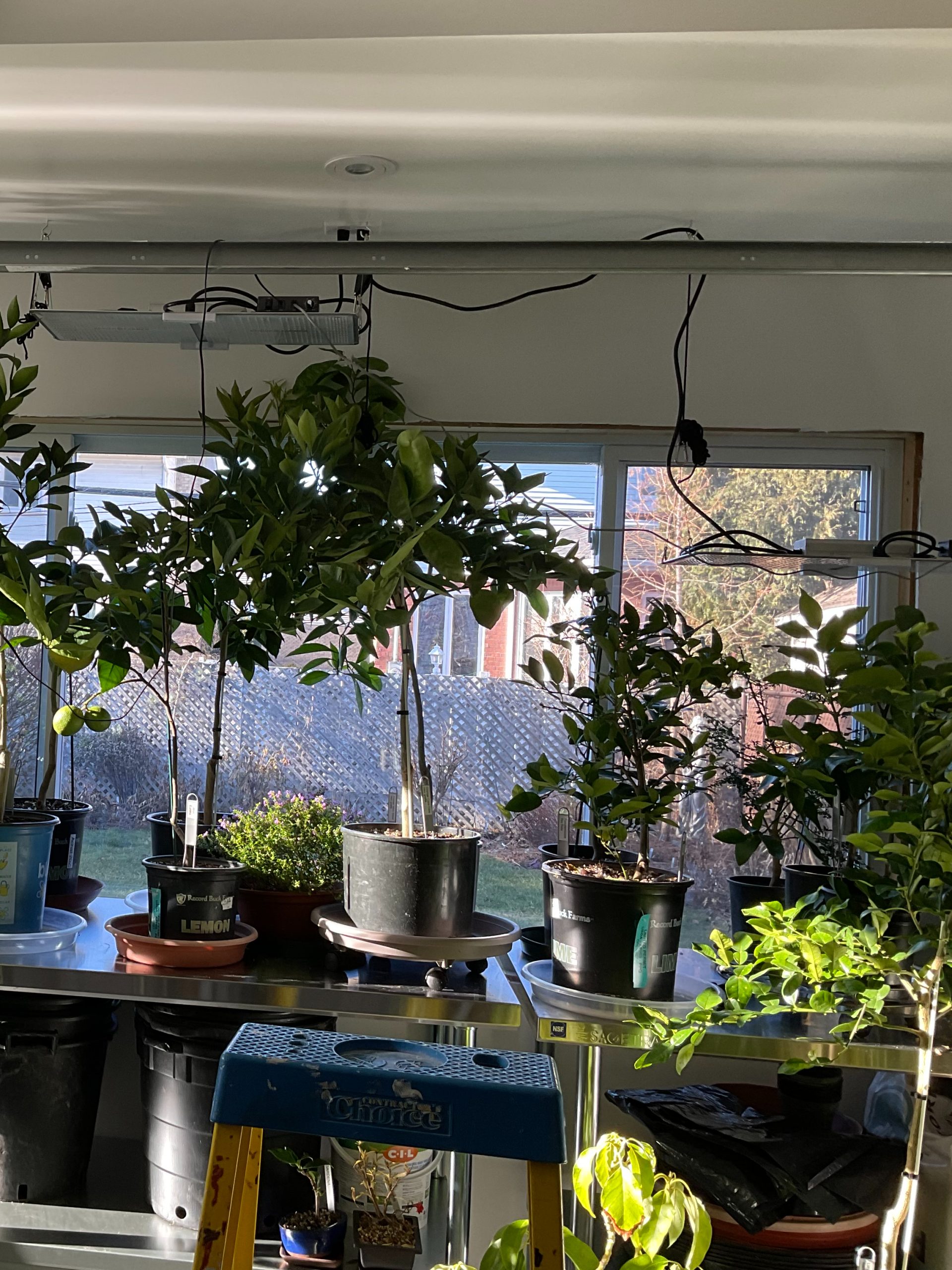 johannem3004@gmail.com (2)