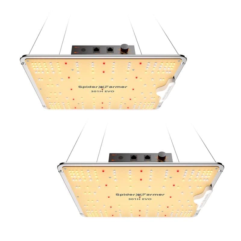 2 Packs丨2025 Spider Farmer® SF1000 Samsung LM301H EVO LED Grow Light for 2x4 Tent
