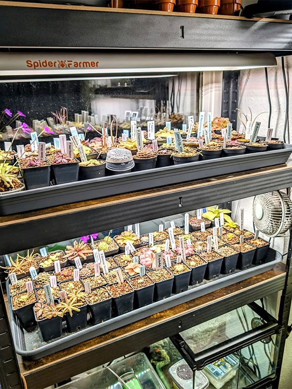 garden-light SF300SF600-2