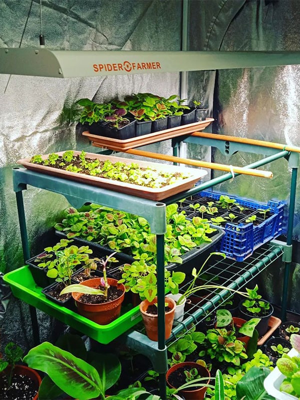 garden-light SF300SF600-8