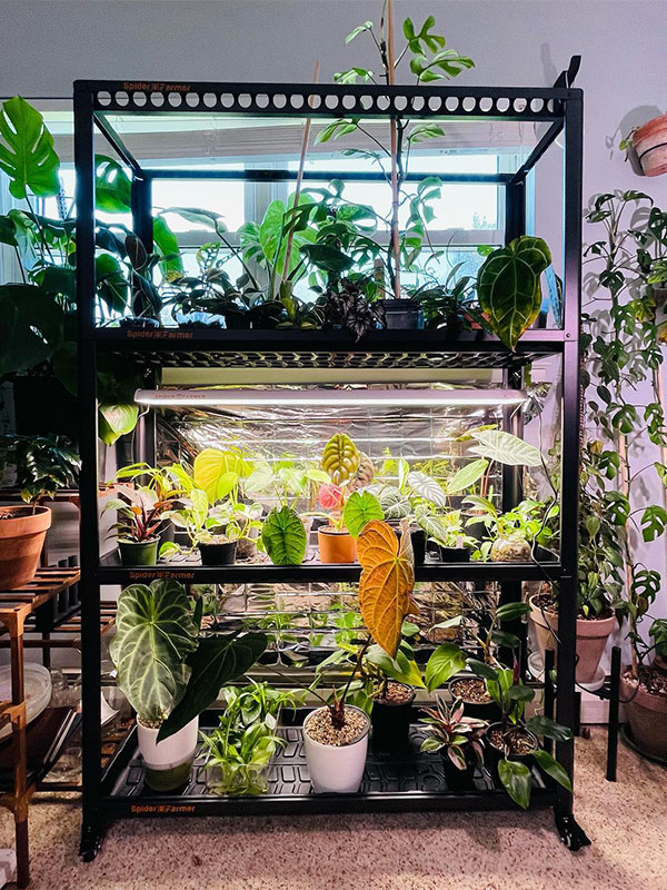 garden-light SF300SF600