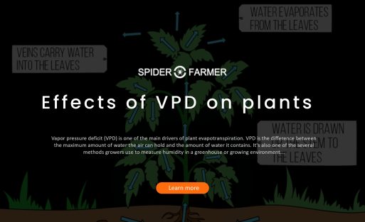 Effects of Vapor Pressure Deficit(VPD) on plants
